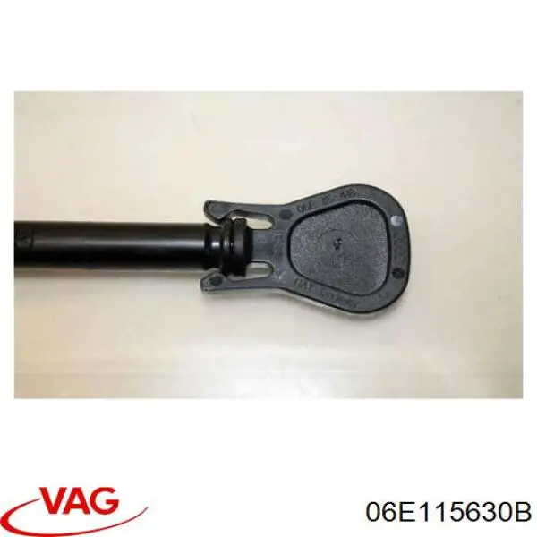  06E115630B VAG