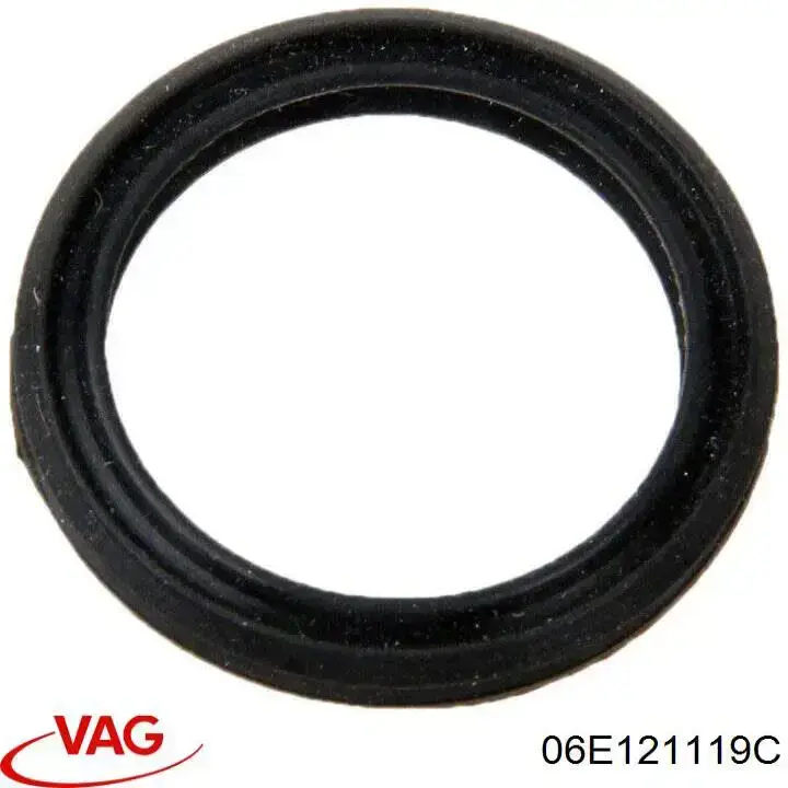 06E121119C VAG 