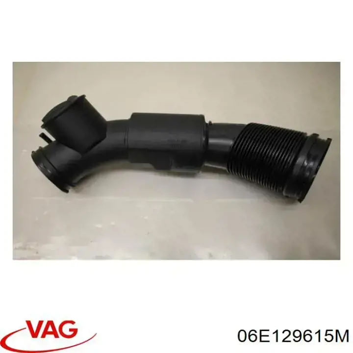 06E129615M VAG 