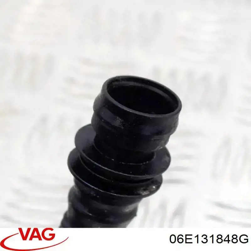  06E131848G VAG