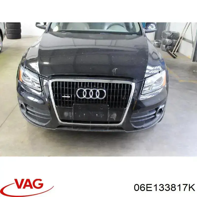  06E133817K VAG