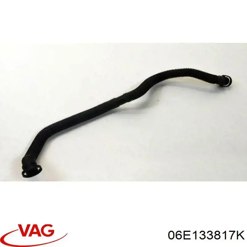 06E133817K VAG 