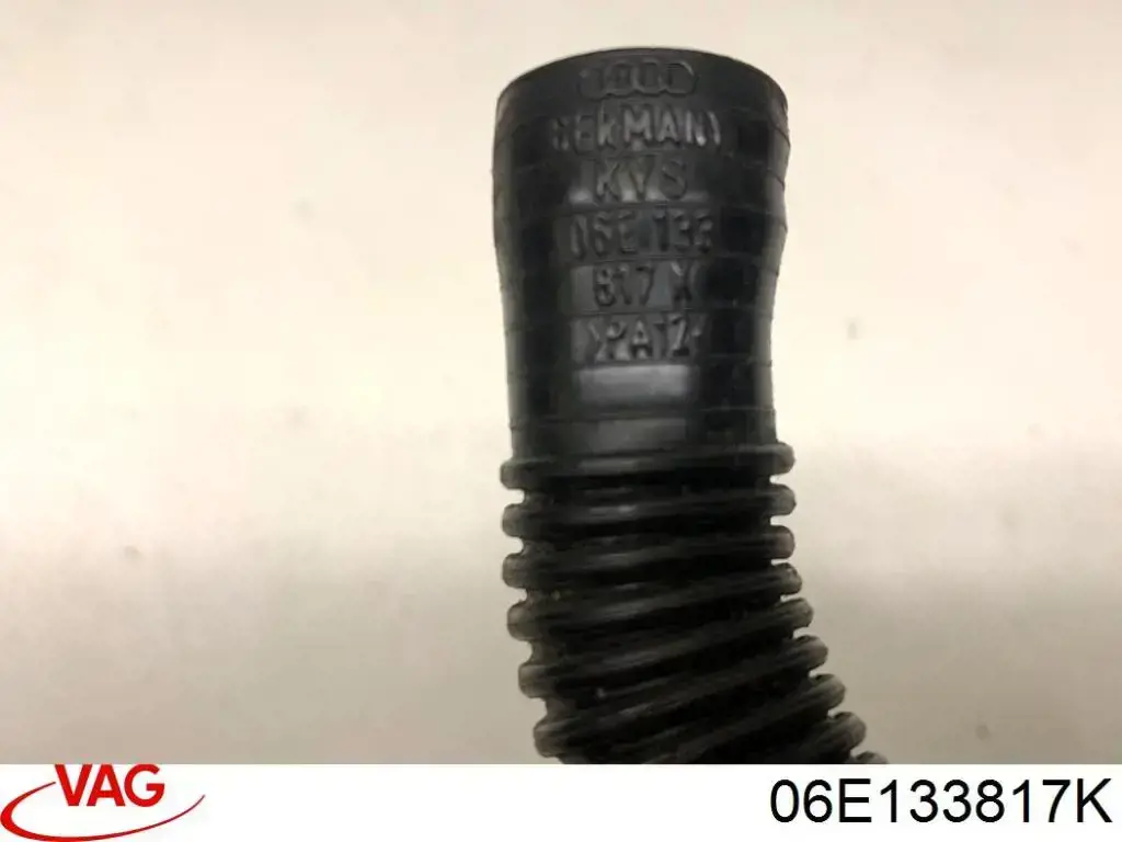 Купить 06E133817K VAG 