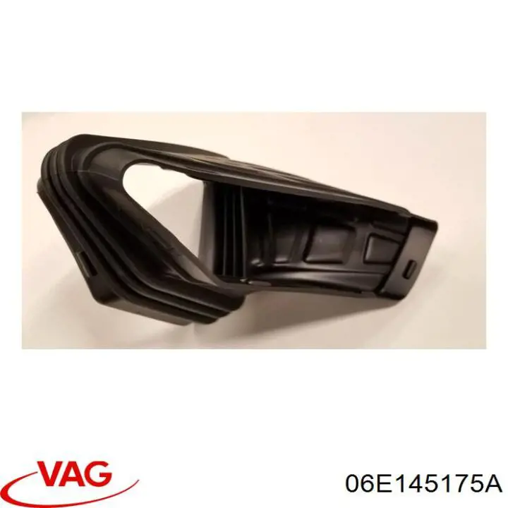 06E145175A VAG 