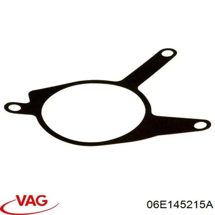 Прокладка вакуумного насоса VAG 06E145215A