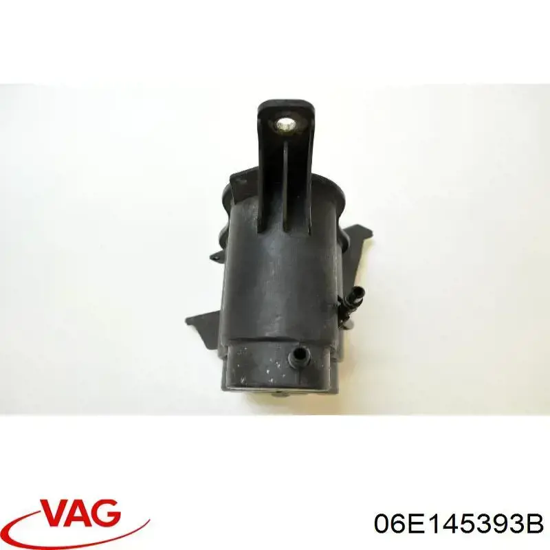  06E145393B VAG