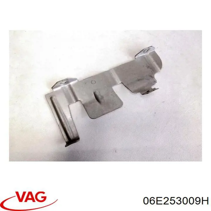  06E253009H VAG