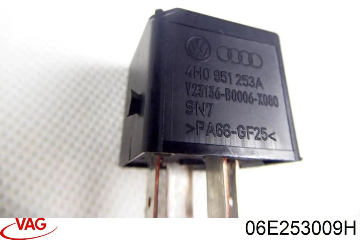  VAG 06E253009H
