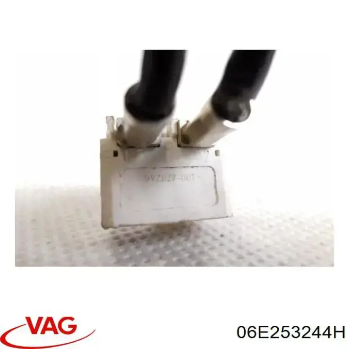  06E253244H VAG