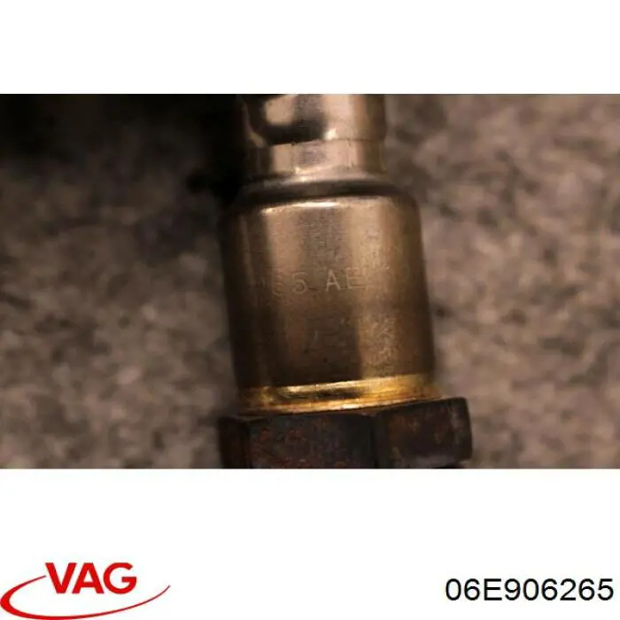  VAG 06E906265