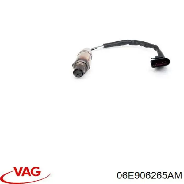 Купить 06E906265AM VAG 