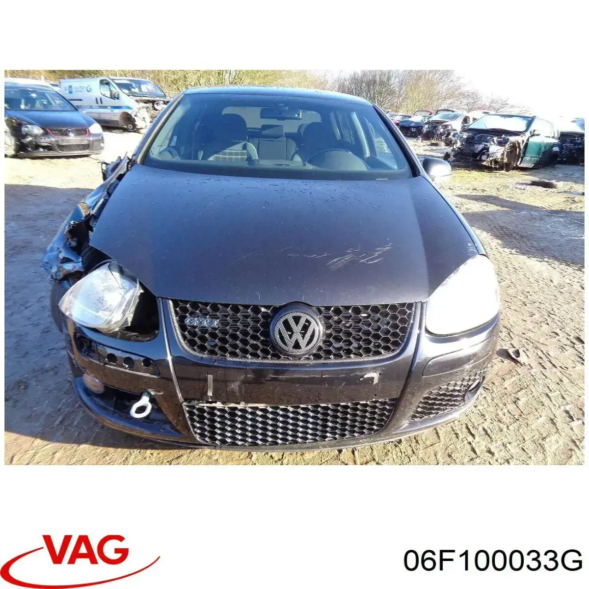 06F100033G VAG Motor montado