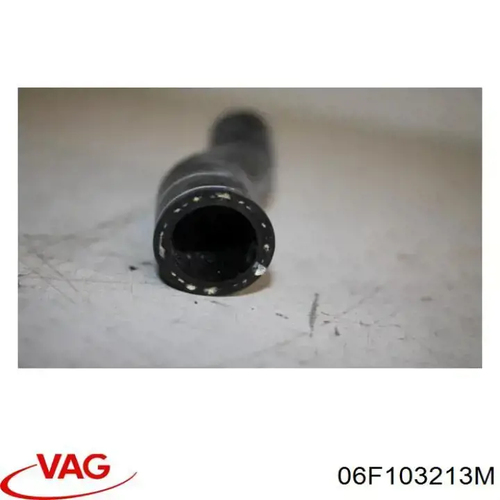  06F103213M VAG