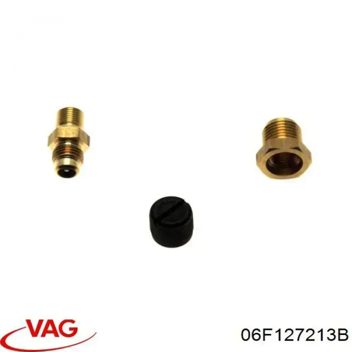  06F127213B VAG