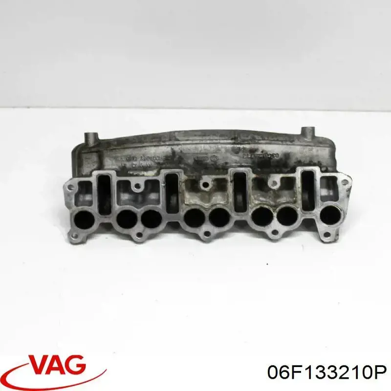  06F133210P VAG