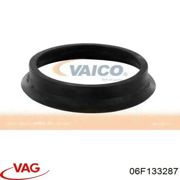  06F133287 VAG