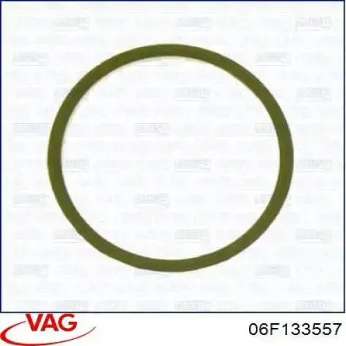  06F133557 VAG