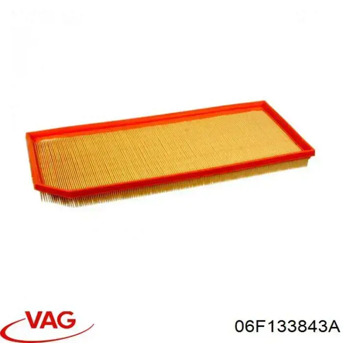 06F133843A VAG/Seat