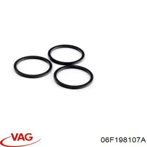 06F198107A VAG Ремкомплект фазорегулятора ГРМ