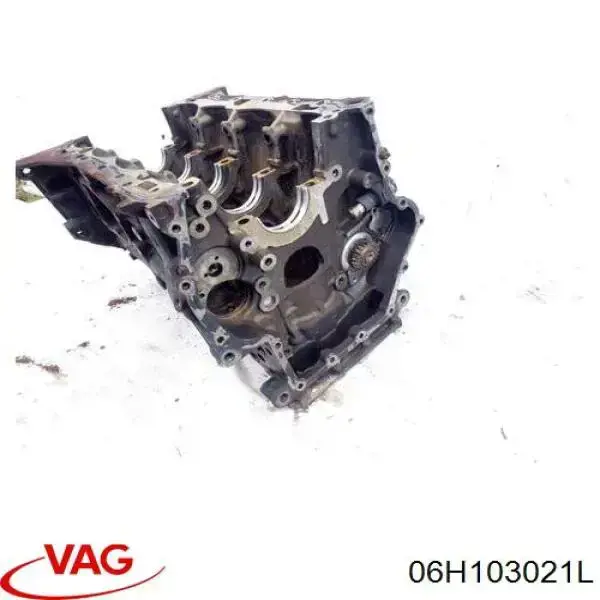 06H103021L VAG Мотор в сборе