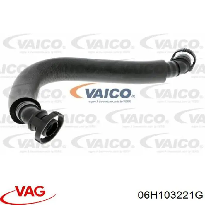 06H103221G VAG 