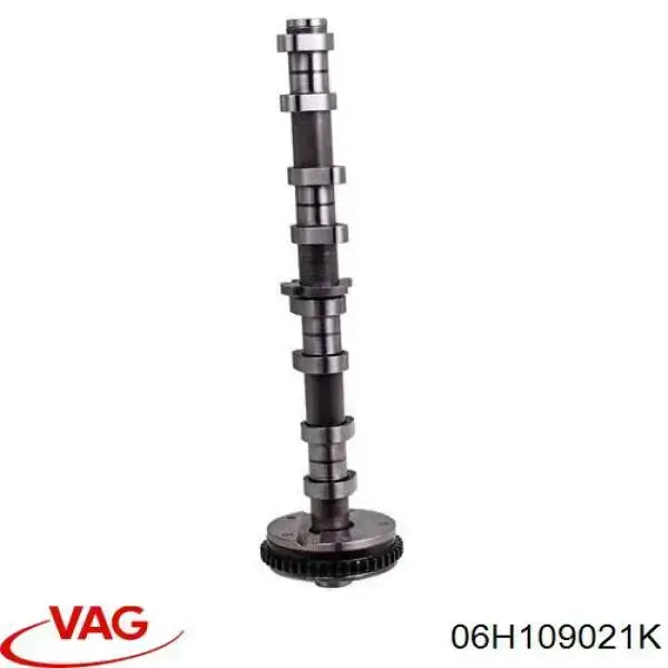 Распредвал двигателя впускной VAG 06H109021K цена, от 254.24 USD