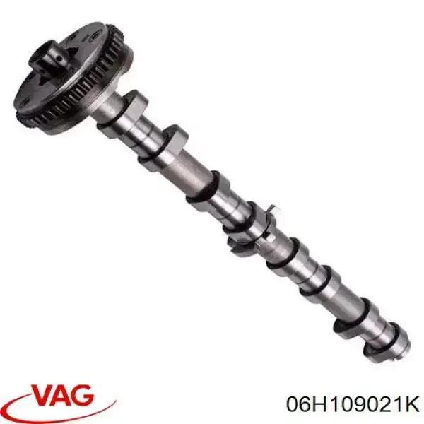 Распредвал двигателя впускной VAG 06H109021K цена, от 254.24 USD