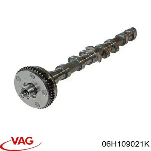 Впускной распредвал 06H109021K VAG