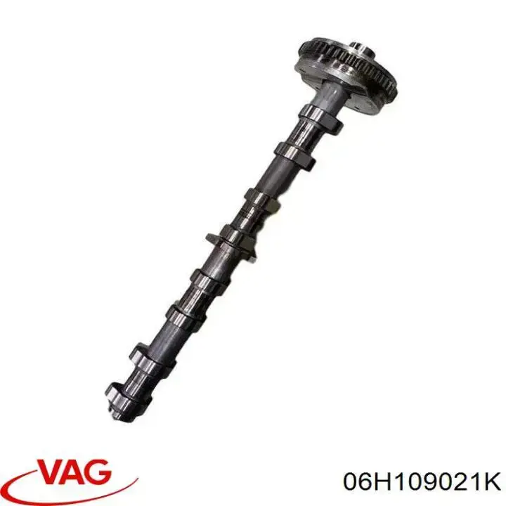 Впускной распредвал двигателя VAG 06H109021K