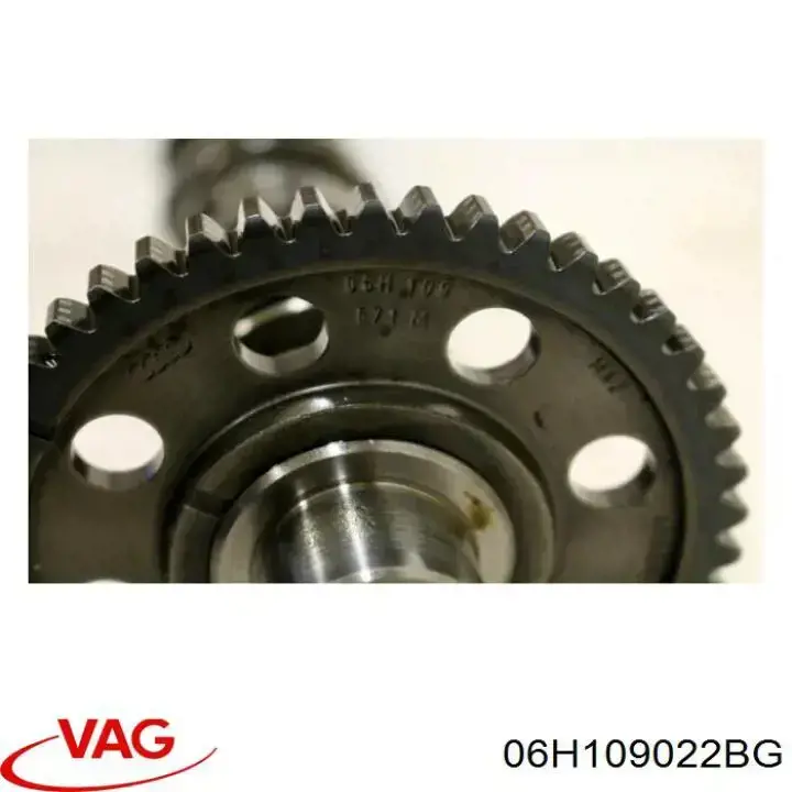 Распредвал двигателя выпускной VAG 06H109022BG цена, от 765.82 USD