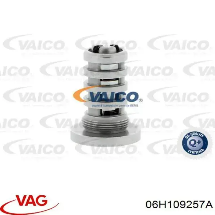 Гидравлический болт фаз газораспределения VAG 06H109257A цена, от 112.54 USD