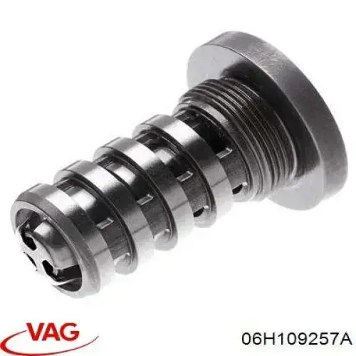 Купить 06H109257A VAG Гидравлический болт фаз газораспределения