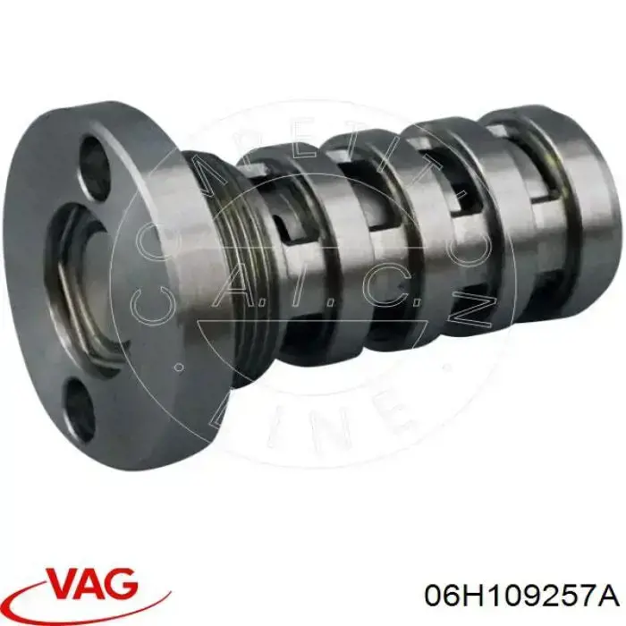 Гидравлический болт фаз газораспределения VAG 06H109257A