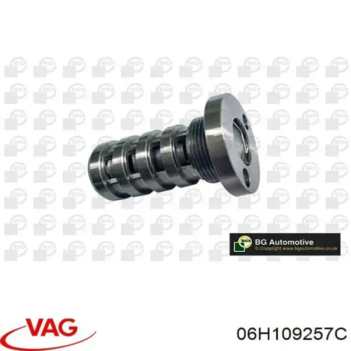 Гидравлический болт фаз газораспределения VAG 06H109257C