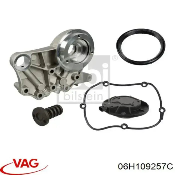 06H109257C VAG Гидравлический болт фаз газораспределения