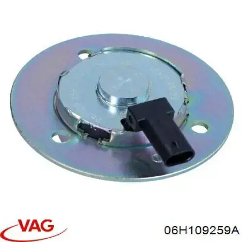 06H109259A VAG клапан электромагнитный положения (фаз распредвала)
