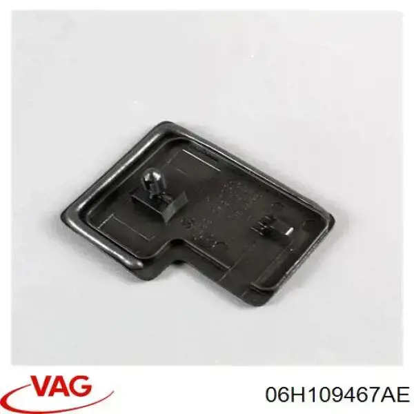 Натяжитель цепи ГРМ 06H109467AE VAG