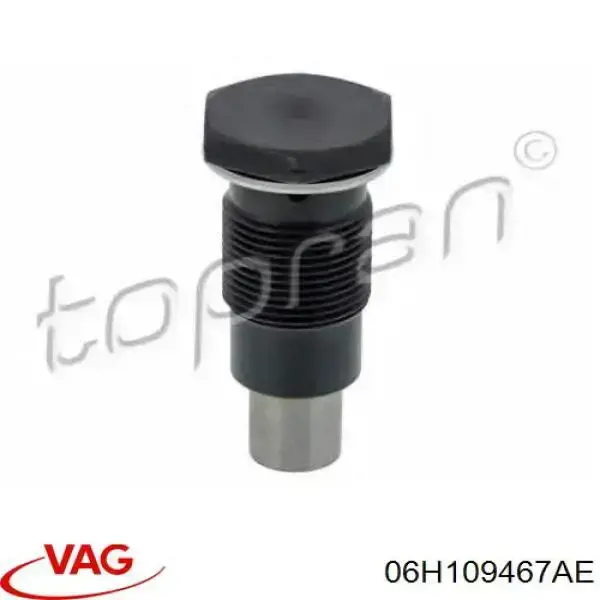 06H109467AE VAG Гидронатяжитель цепи