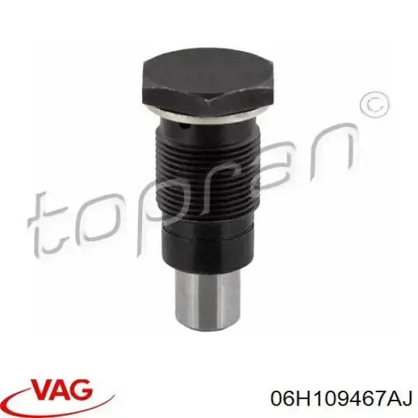 Натяжитель цепи балансировочного вала VAG 06H109467AJ цена, от 48.75 USD