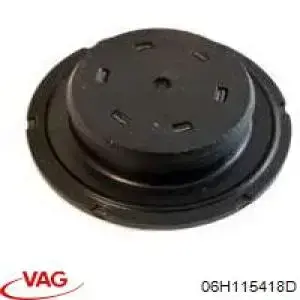 Купить B10644 Borsehung Заглушка ГБЦ