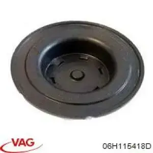 Заглушка ГБЦ B10644 Borsehung