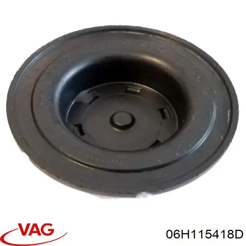 Заглушка ГБЦ 06H115418D VAG