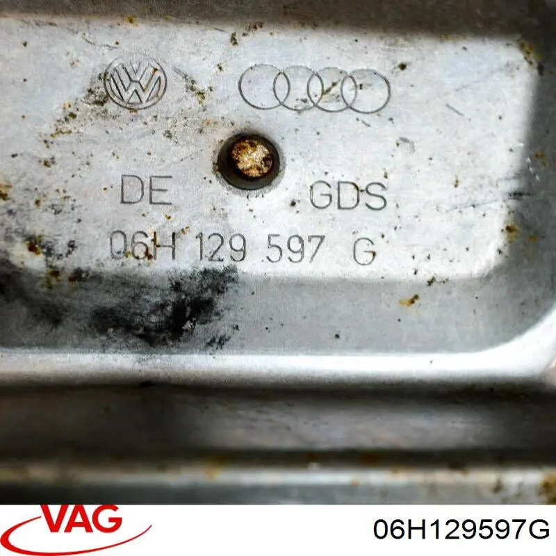  06H129597G VAG