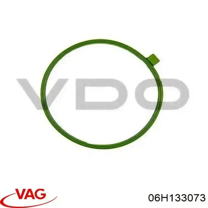 06H133073 VAG/Seat