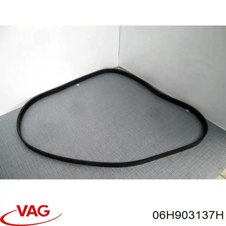 Купить 06H903137H VAG Ремень генератора