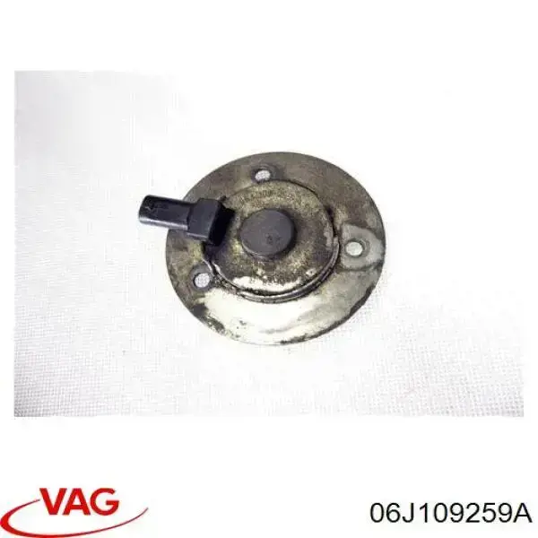 06J109259A VAG клапан электромагнитный положения (фаз распредвала)