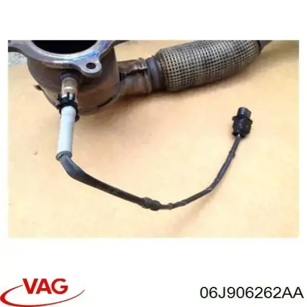 06J906262AA VAG