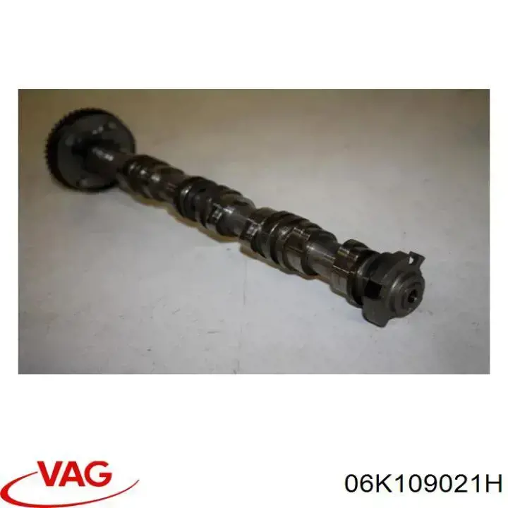 06K109021H VAG 