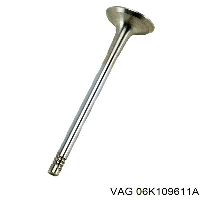 06K109611C VAG 