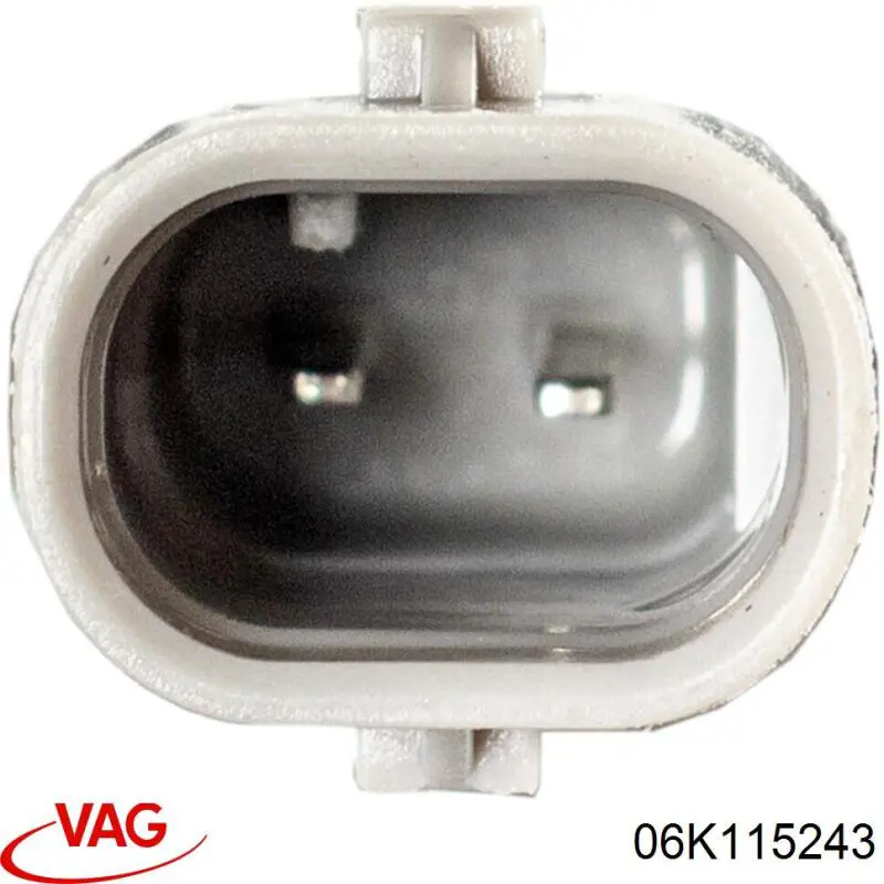 06K115243 VAG 